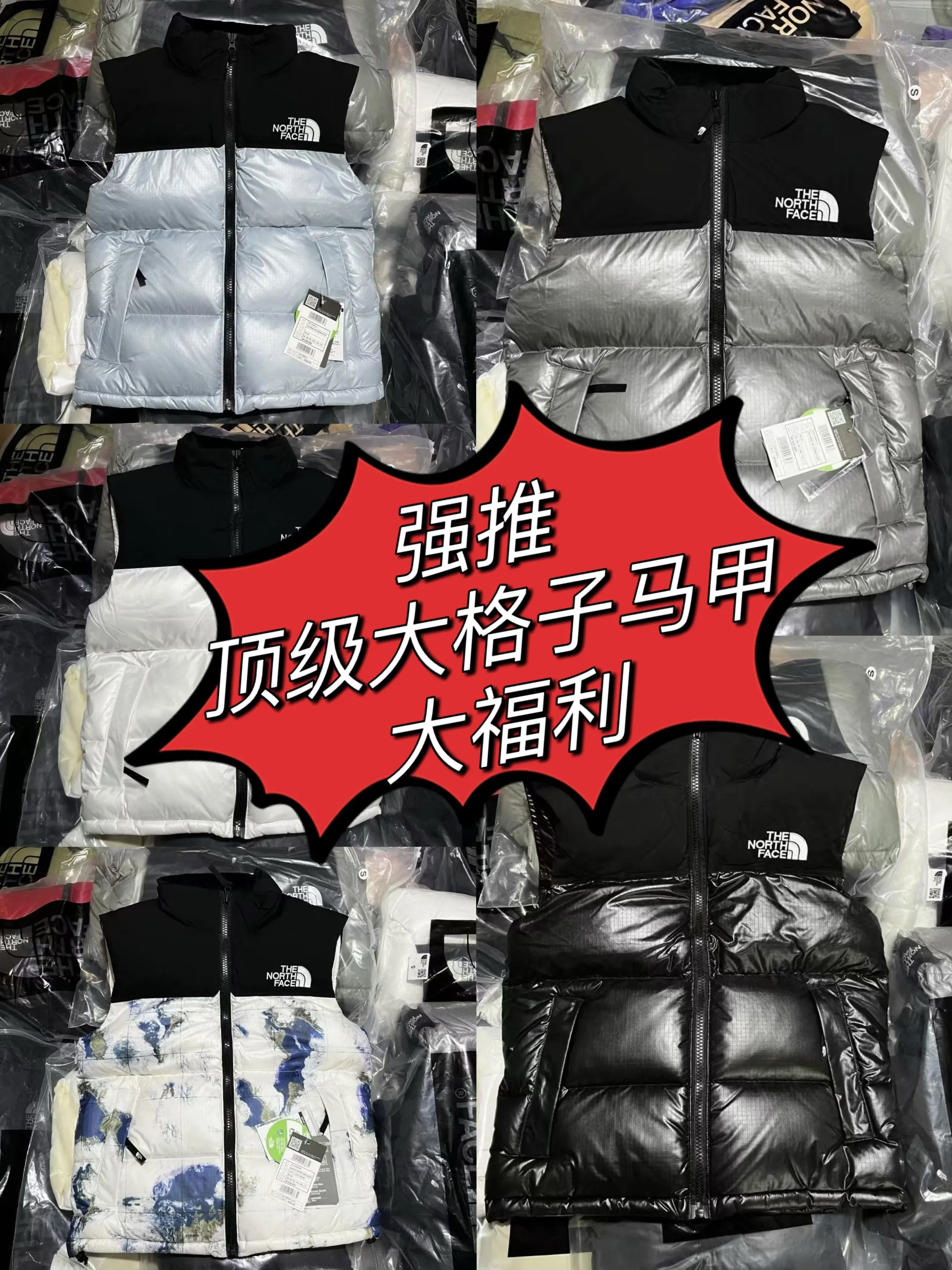 The North Face Vest