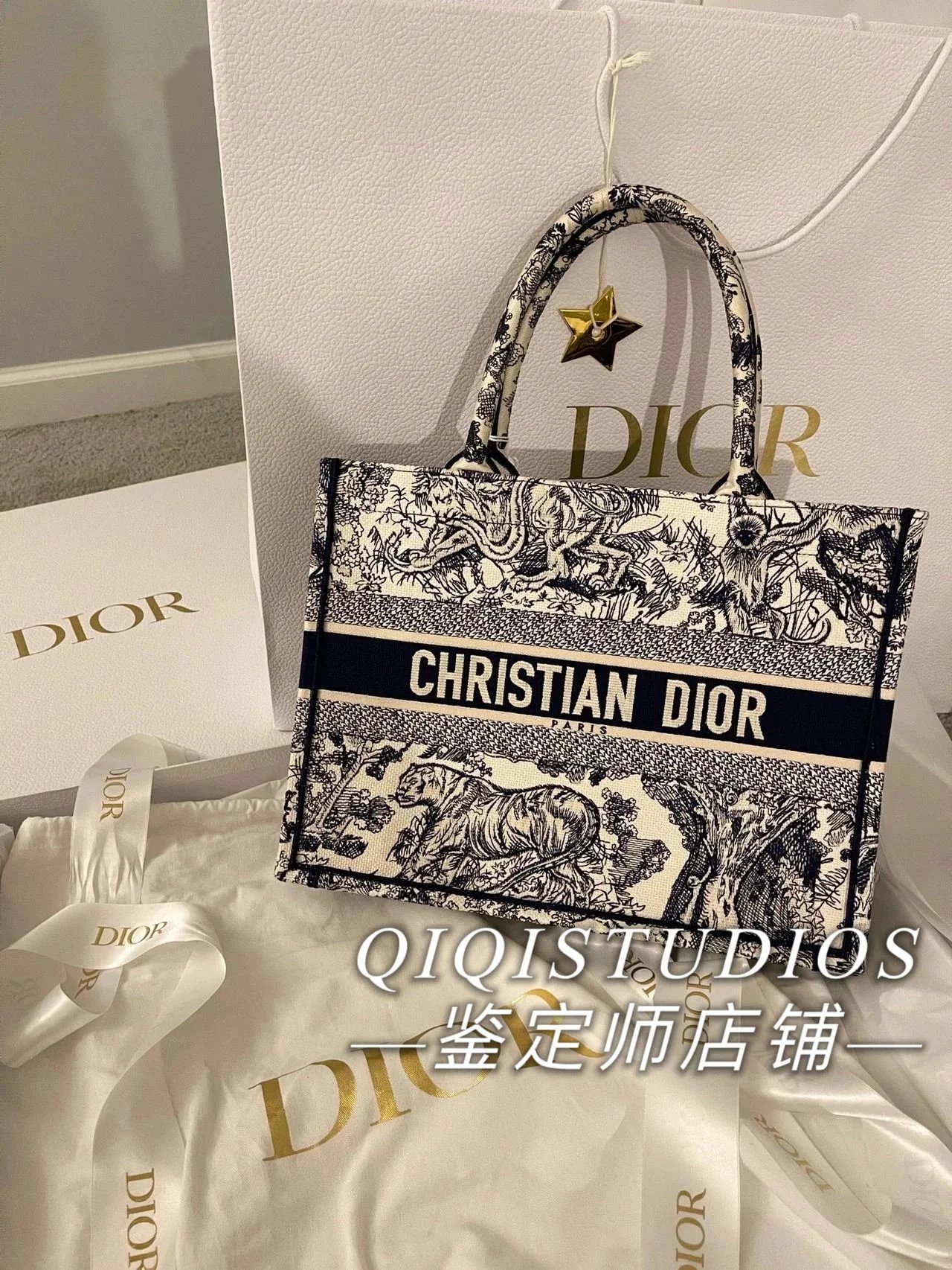 Dior Handbags BookToteOblique