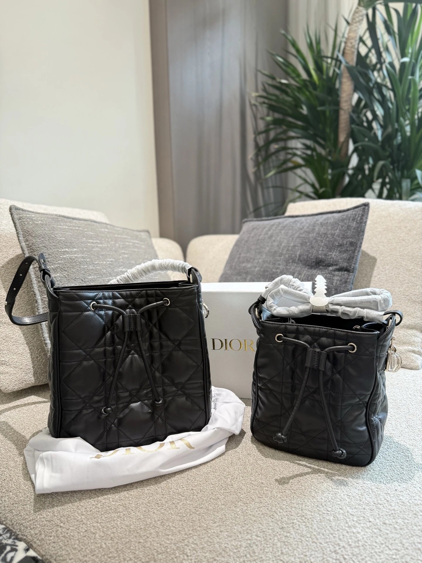 Dior Backpack 2025 Motion