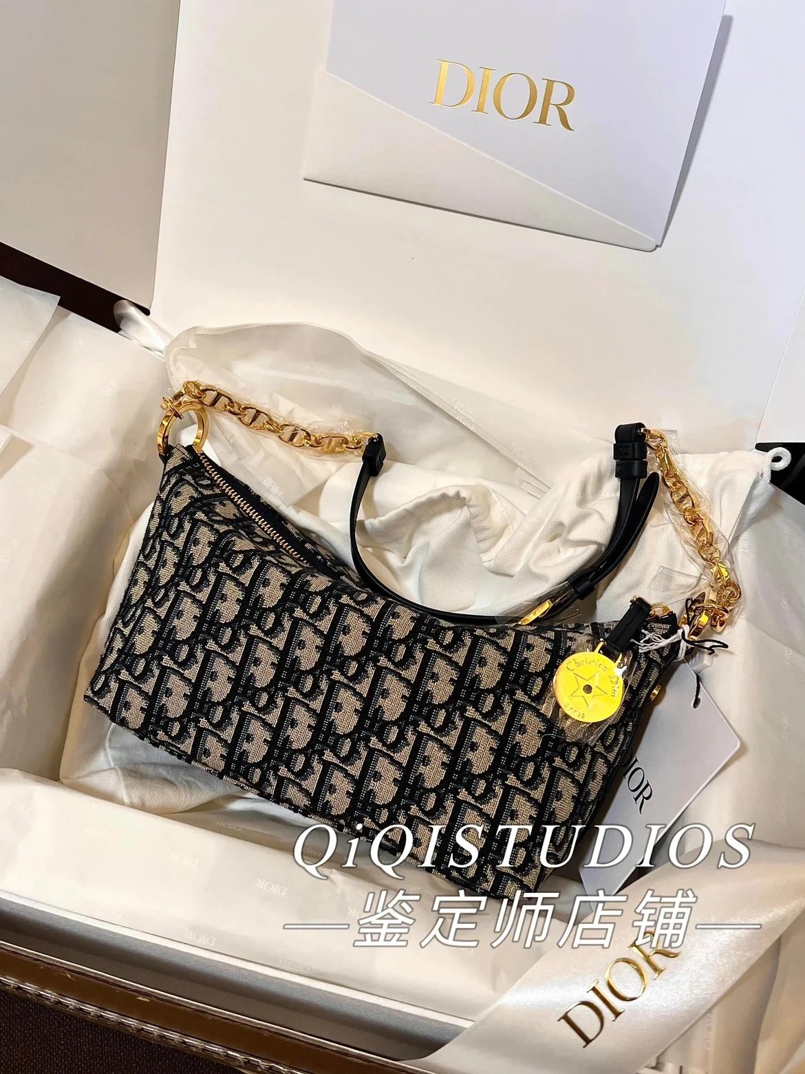 Dior Handbags starhobo