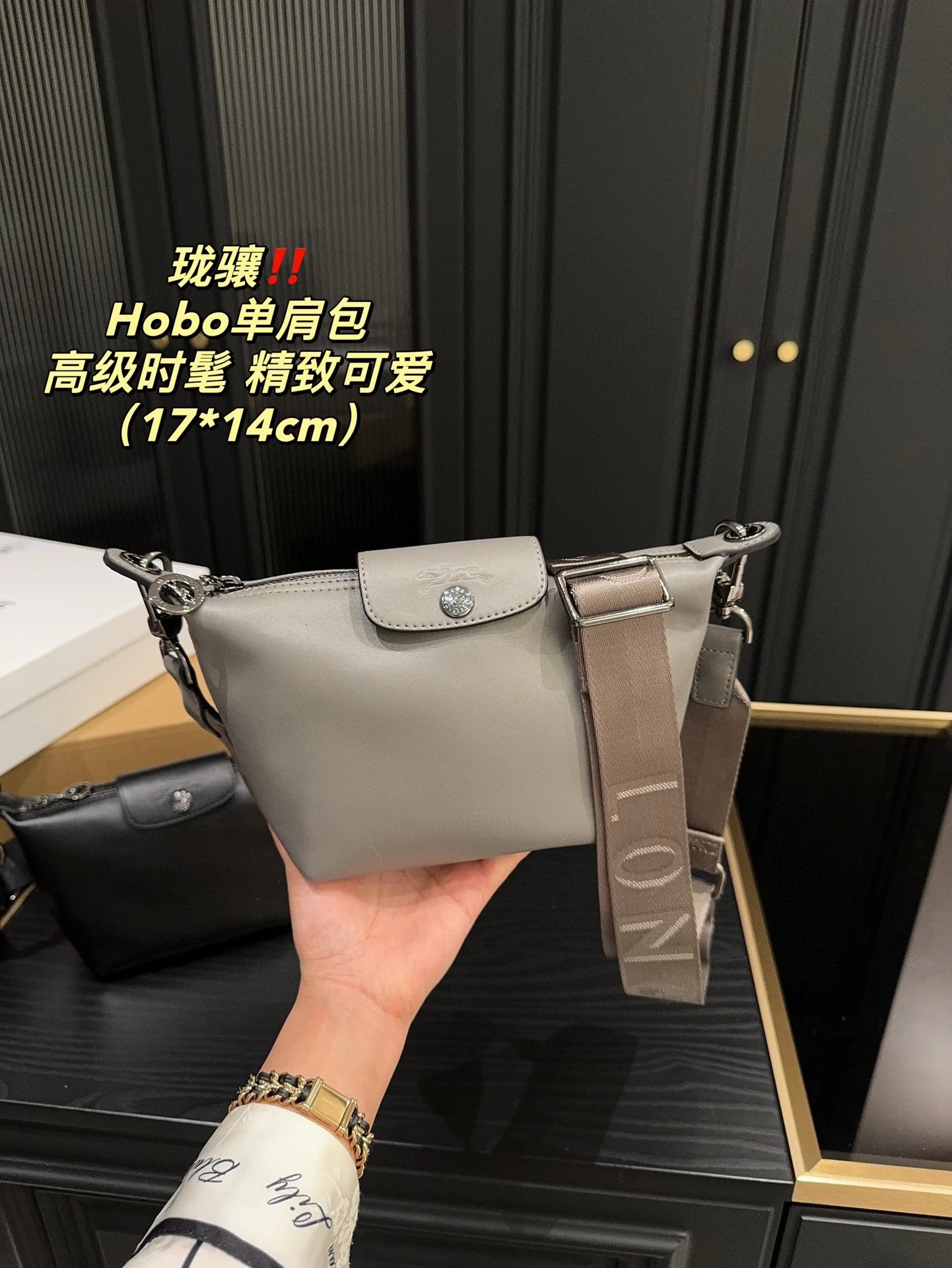 Longchamp Hobo Handbags