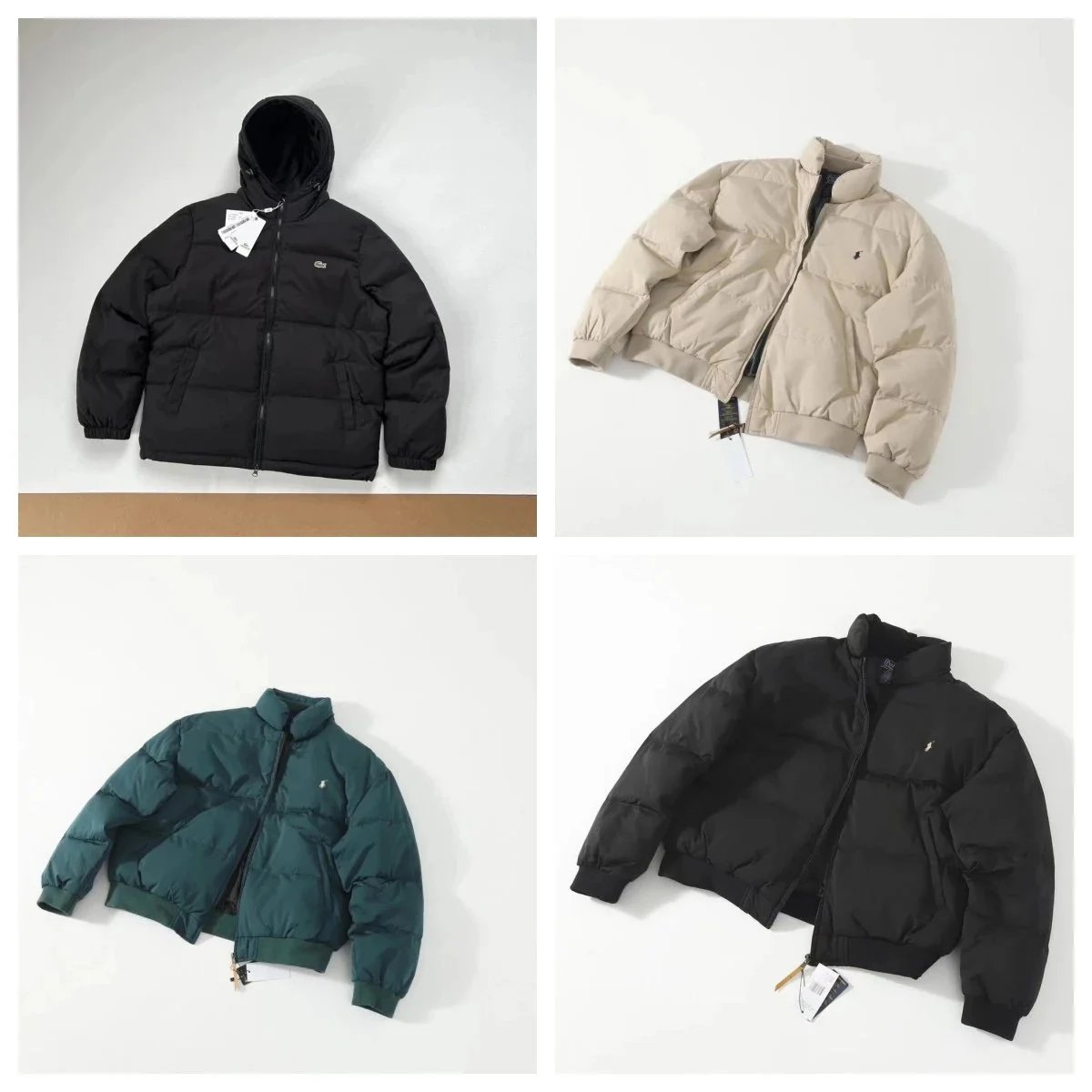 Lacoste Jacket