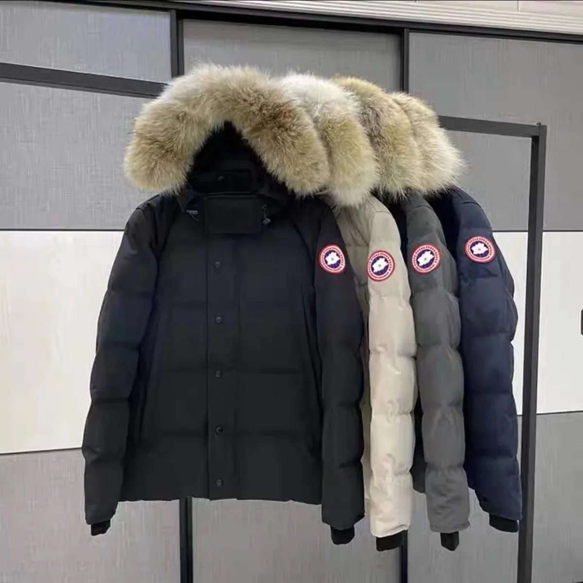 Canada Goose Jacket